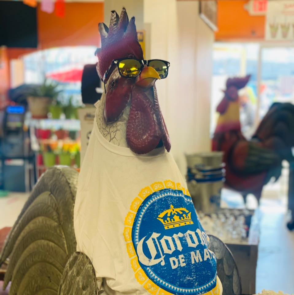 Rooster statue with sunglasses and a Corona t-shirt.